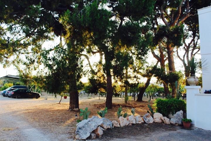 Gli Allori - Fuga dalla città Leverano Esterno foto