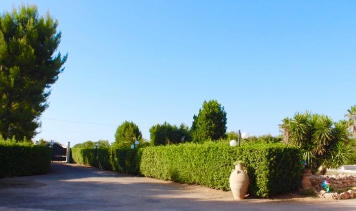 Gli Allori - Fuga dalla città Leverano Esterno foto